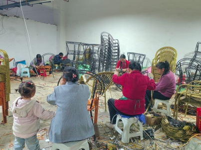 杨林 以藤艺事业“点亮”生活之光，打造缝纫日用品批发新篇章